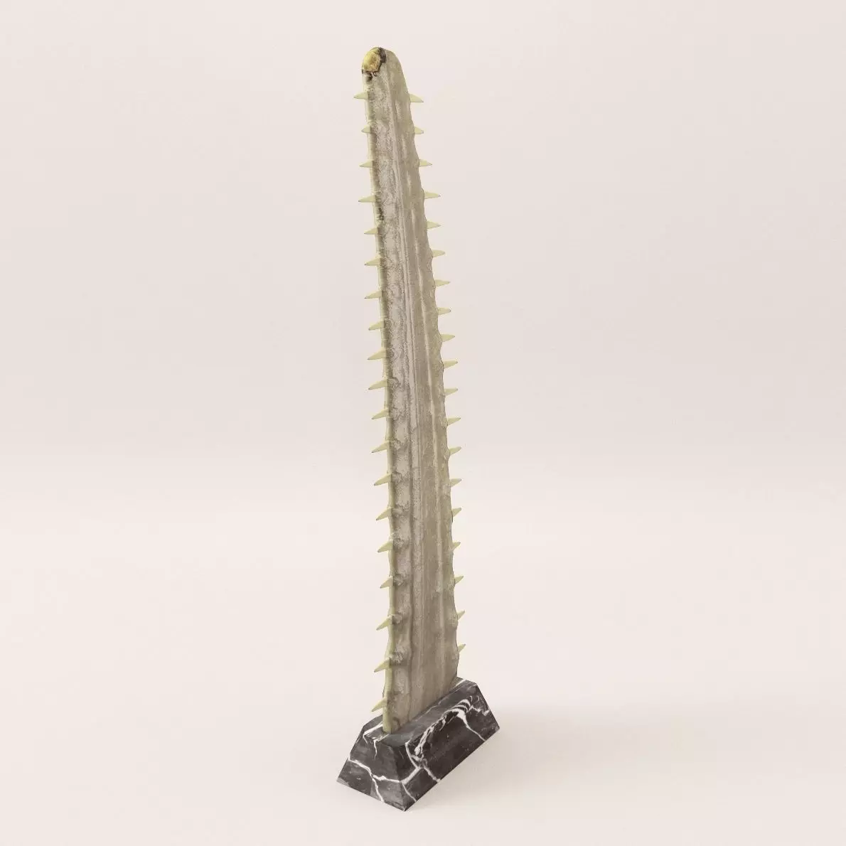 Sculpture Saw fish - Around 1900 3D model_0