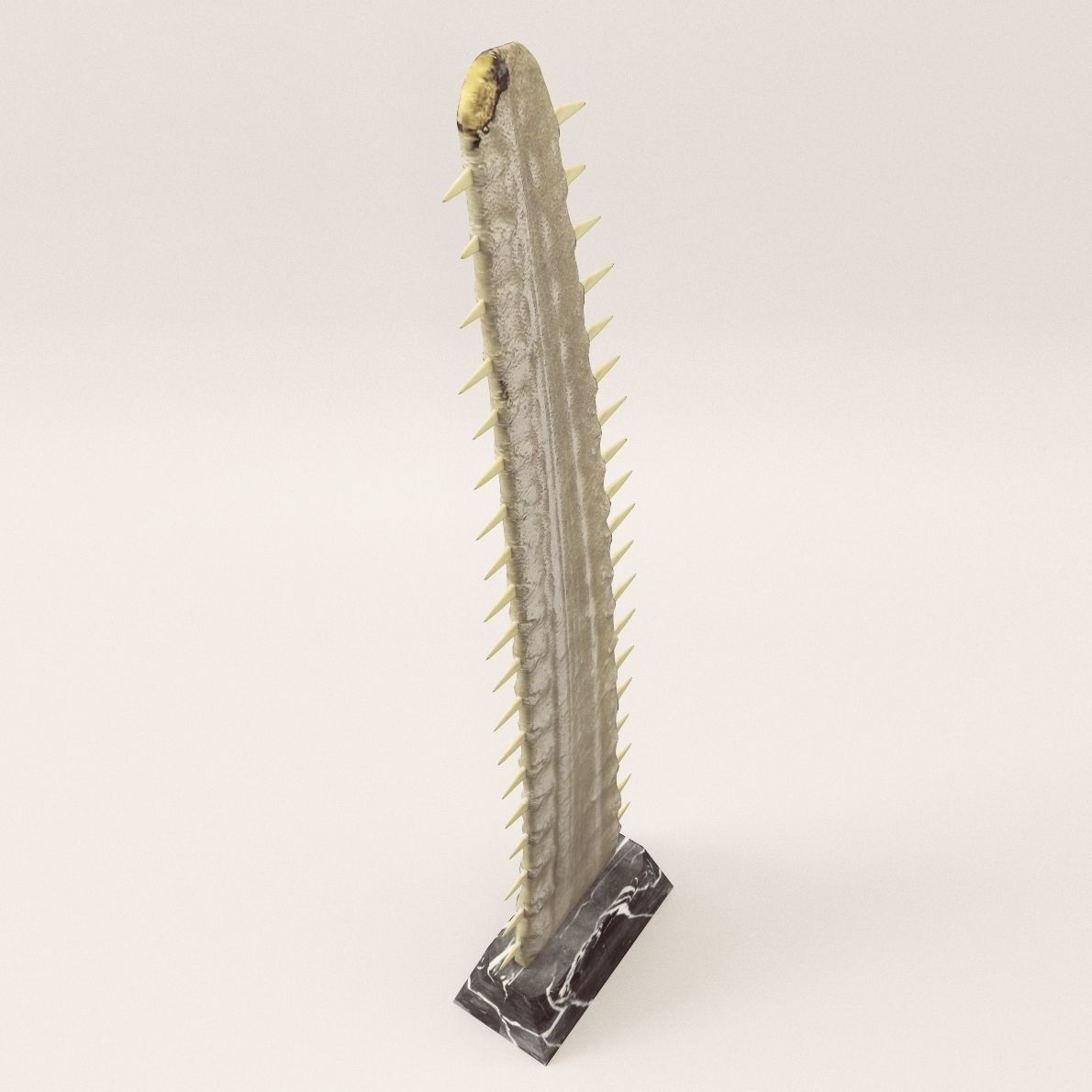 Sculpture Saw fish - Around 1900 3D model_1