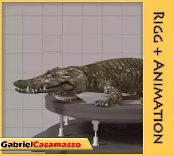 Crocodile alligator 3D model