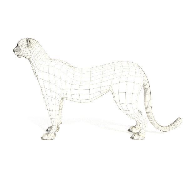Cheetah on chess board 3D model_4