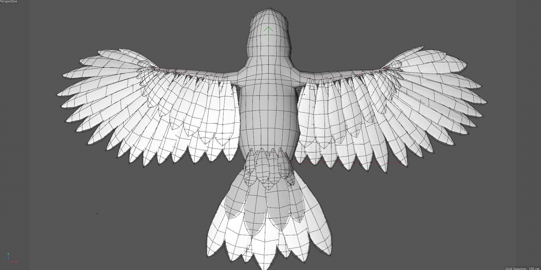 Ramphastos toco 3D model_8