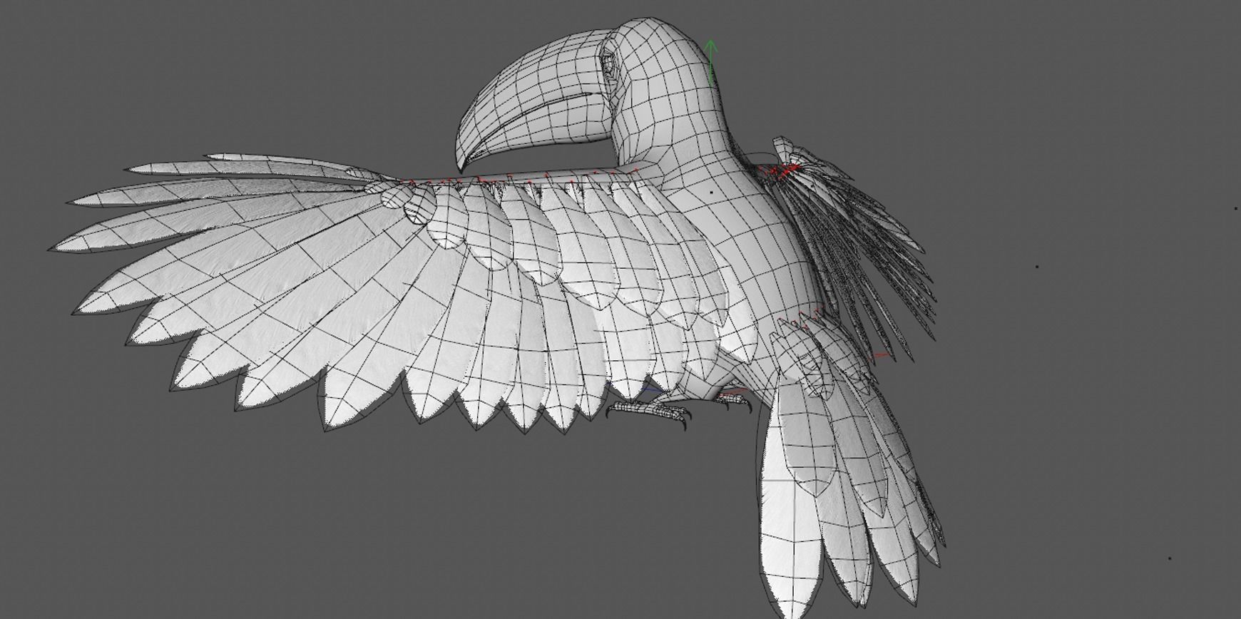 Ramphastos toco 3D model_6