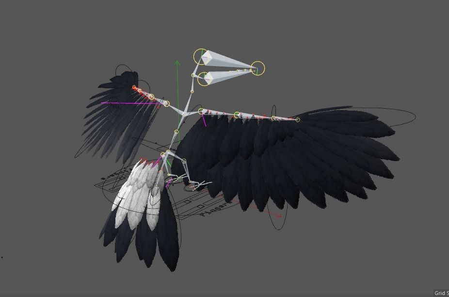 Ramphastos toco 3D model_13