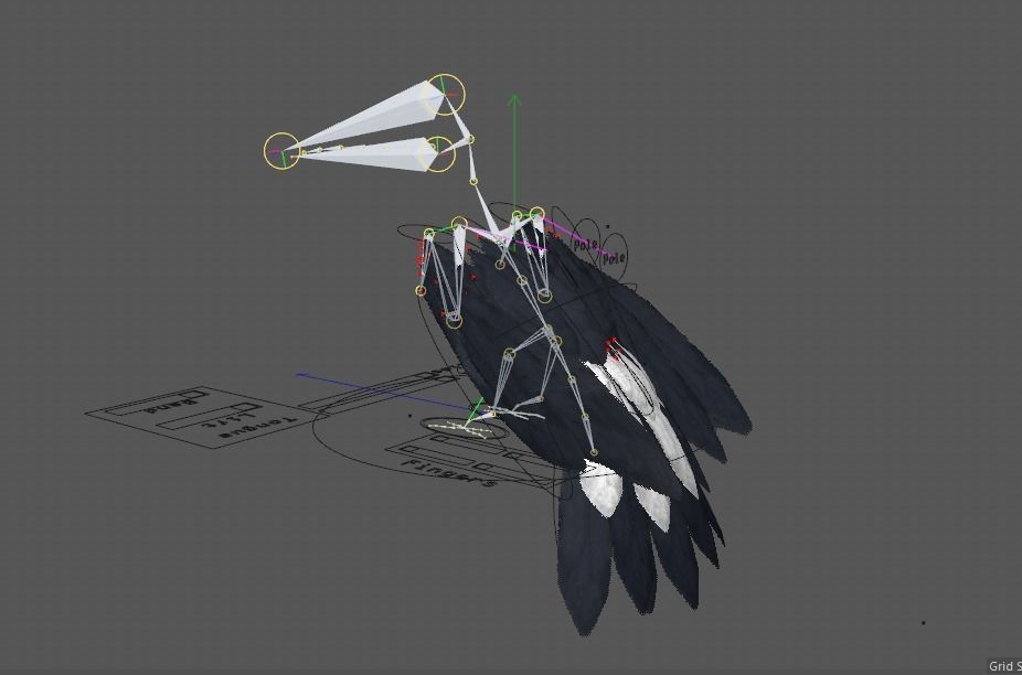 Ramphastos toco 3D model_10