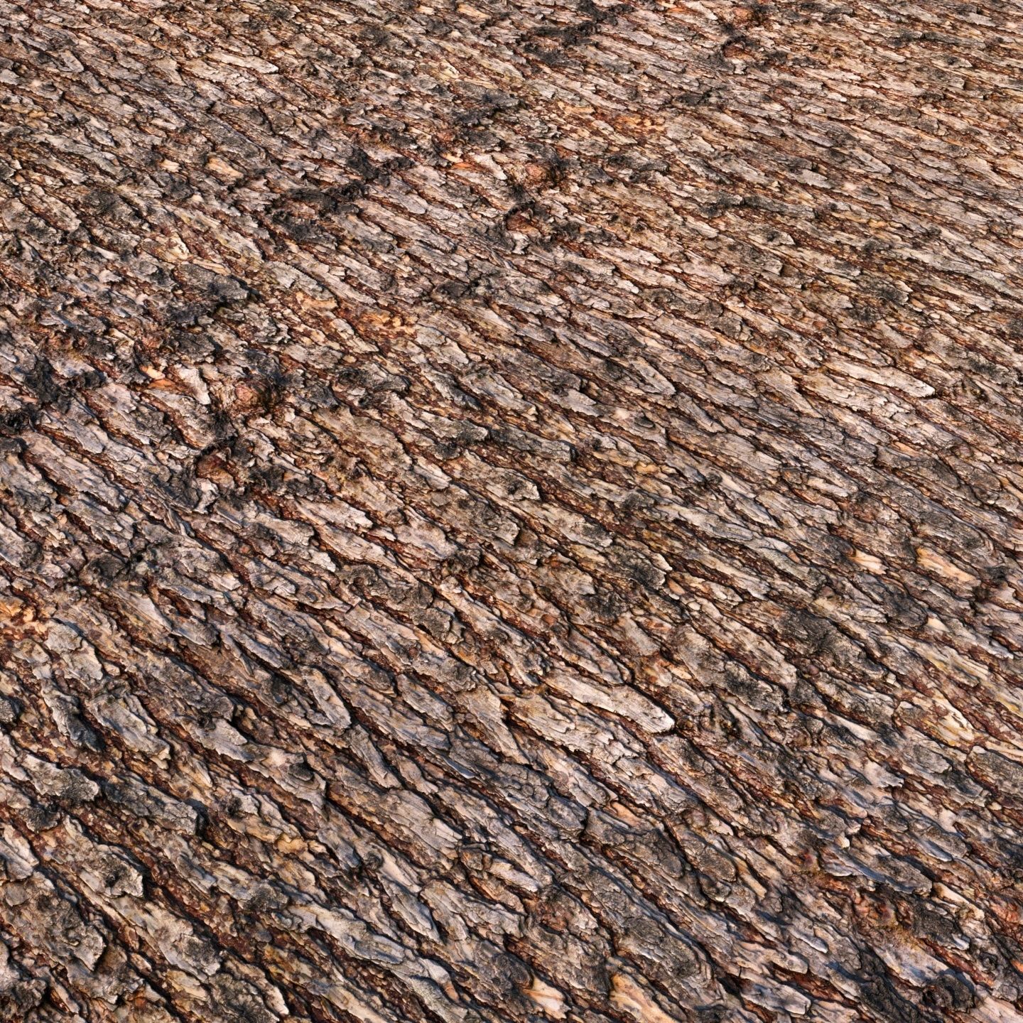 bark Pine wood 8k seamless material Low-poly 3D model_4