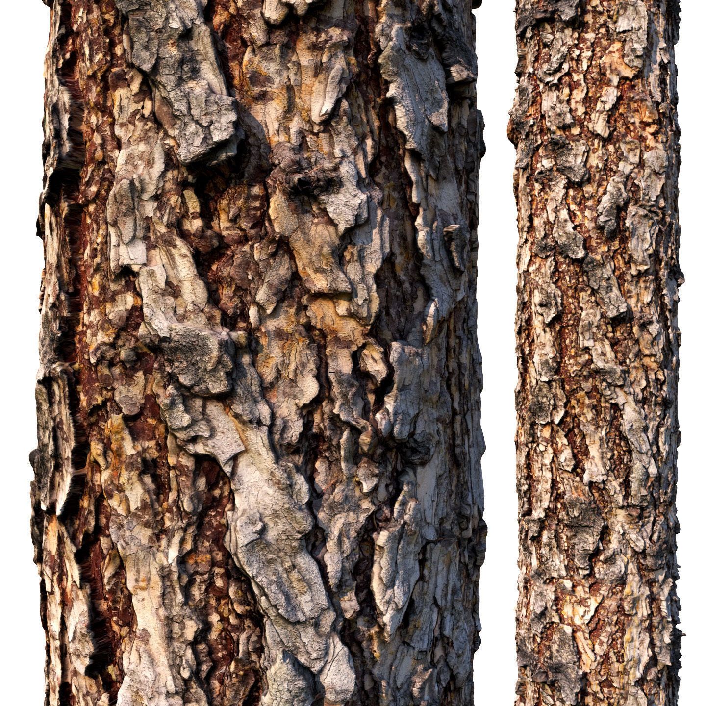 bark Pine wood 8k seamless material Low-poly 3D model_1