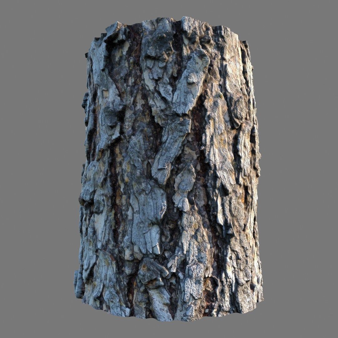 bark Pine wood 8k seamless material Low-poly 3D model_6