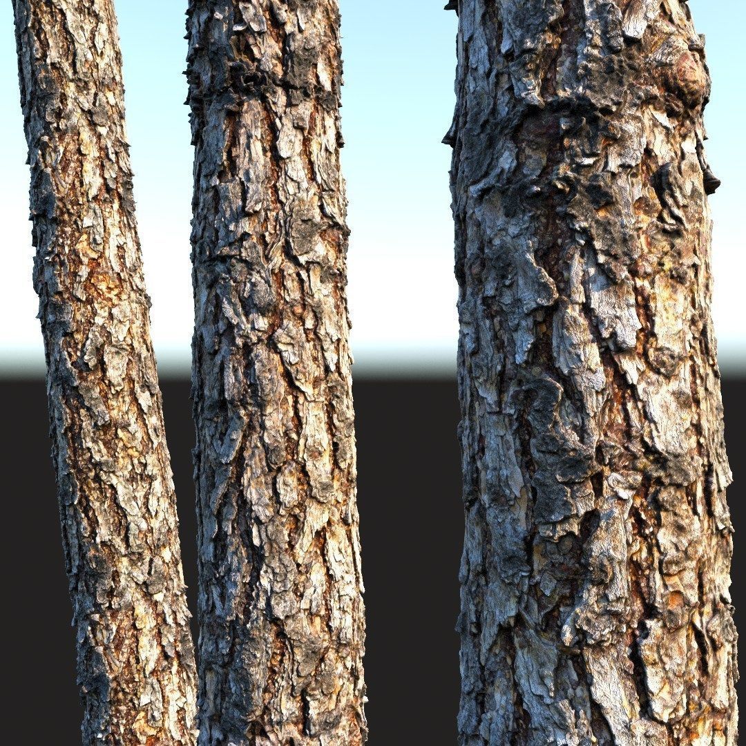 bark Pine wood 8k seamless material Low-poly 3D model_9