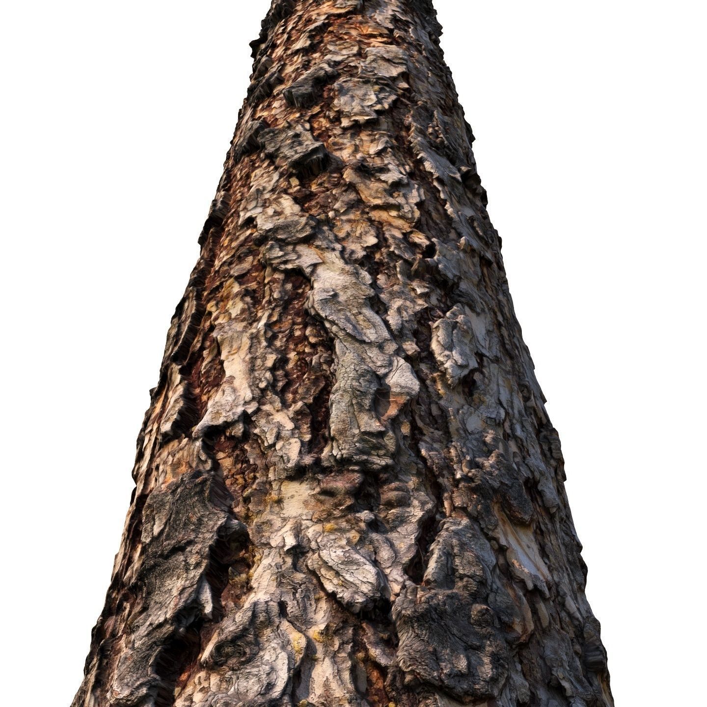 bark Pine wood 8k seamless material Low-poly 3D model_2