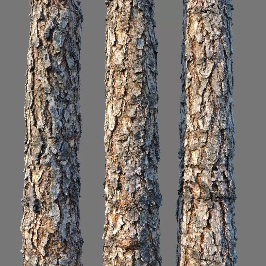 bark Pine wood 8k seamless material Low-poly 3D model_0
