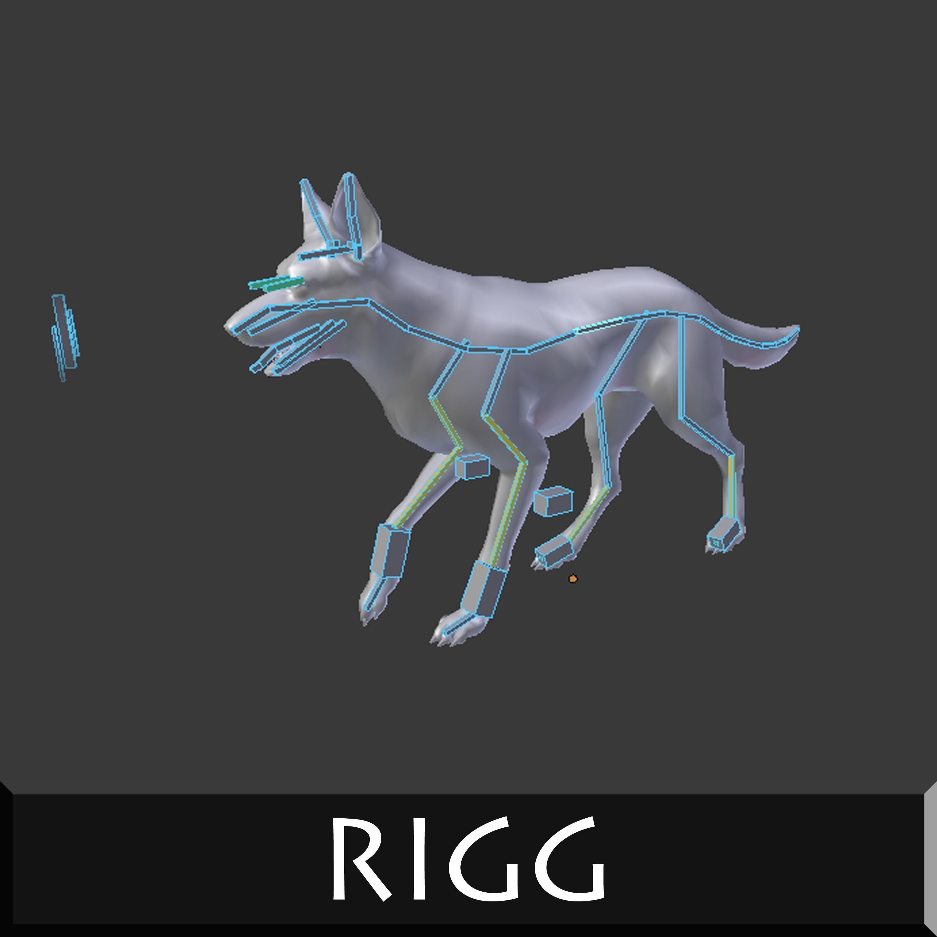 German Shepherd Low-poly 3D model_6