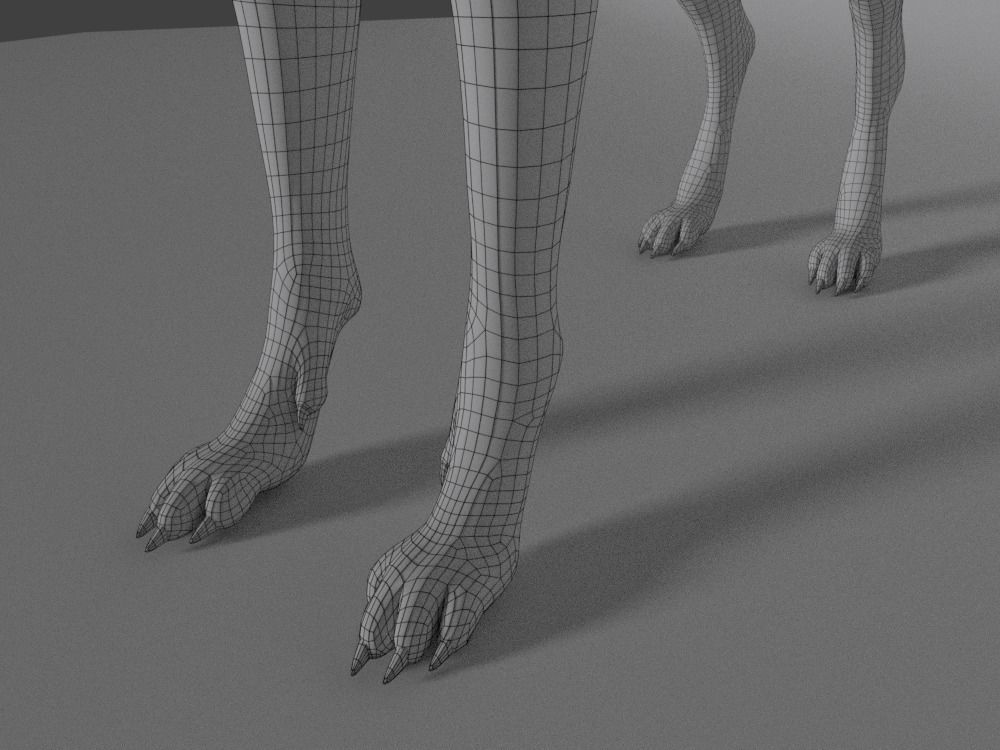 German Shepherd Low-poly 3D model_5