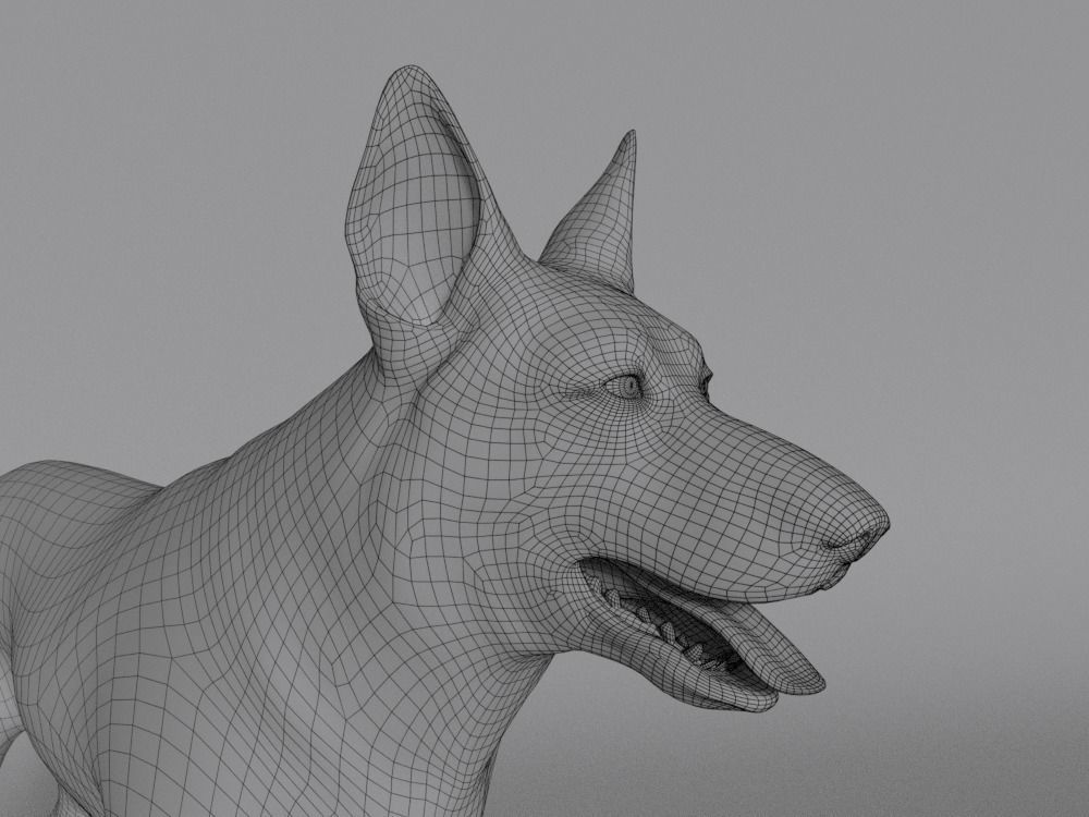 German Shepherd Low-poly 3D model_3