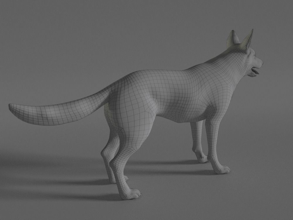 German Shepherd Low-poly 3D model_4