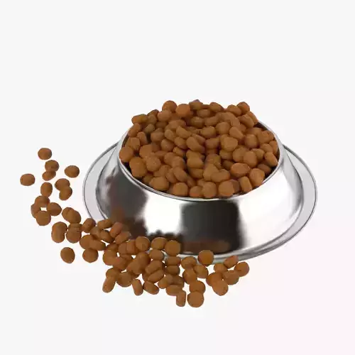 Stainless Steel Dog Bowl with food