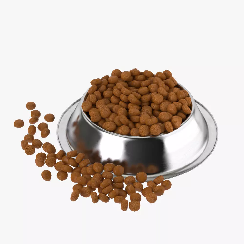 Stainless Steel Dog Bowl with food 3D model_0
