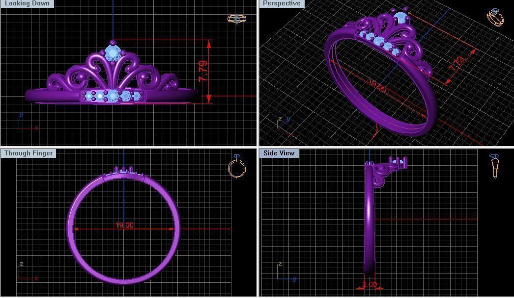 Ring crown 3D print model_2