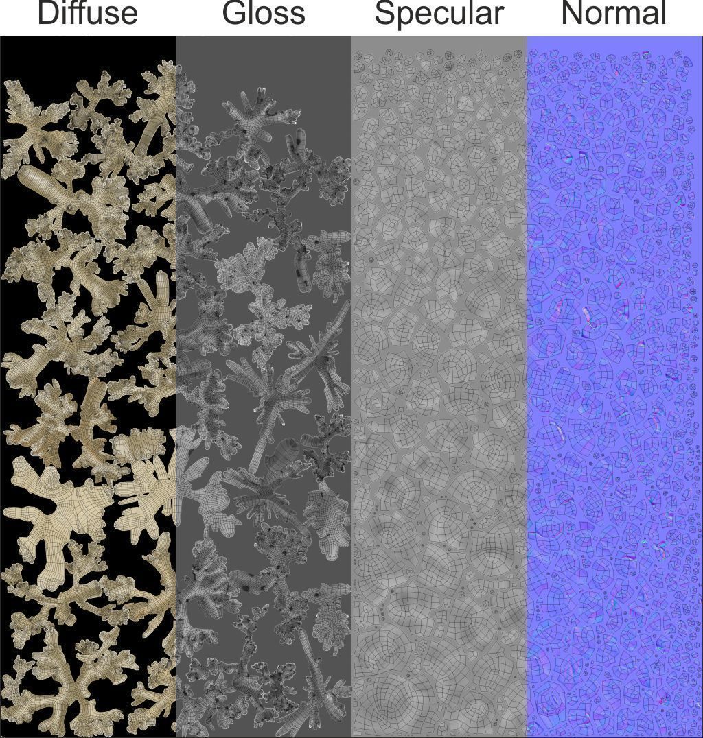 Elephant Tusk Ivory 3D model_19