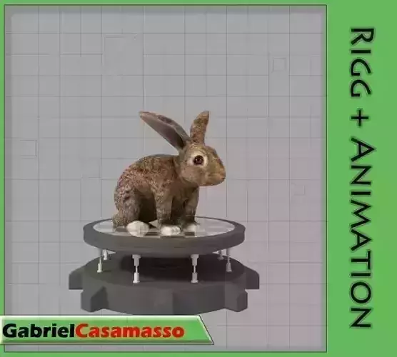 Rabbit Low-poly 3D model