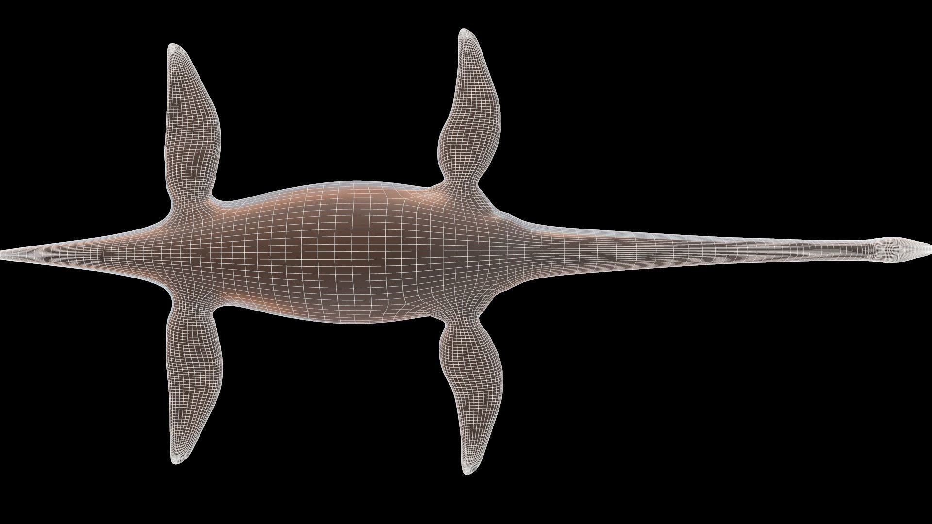 Elasmosaurus platyurus 3D model_6