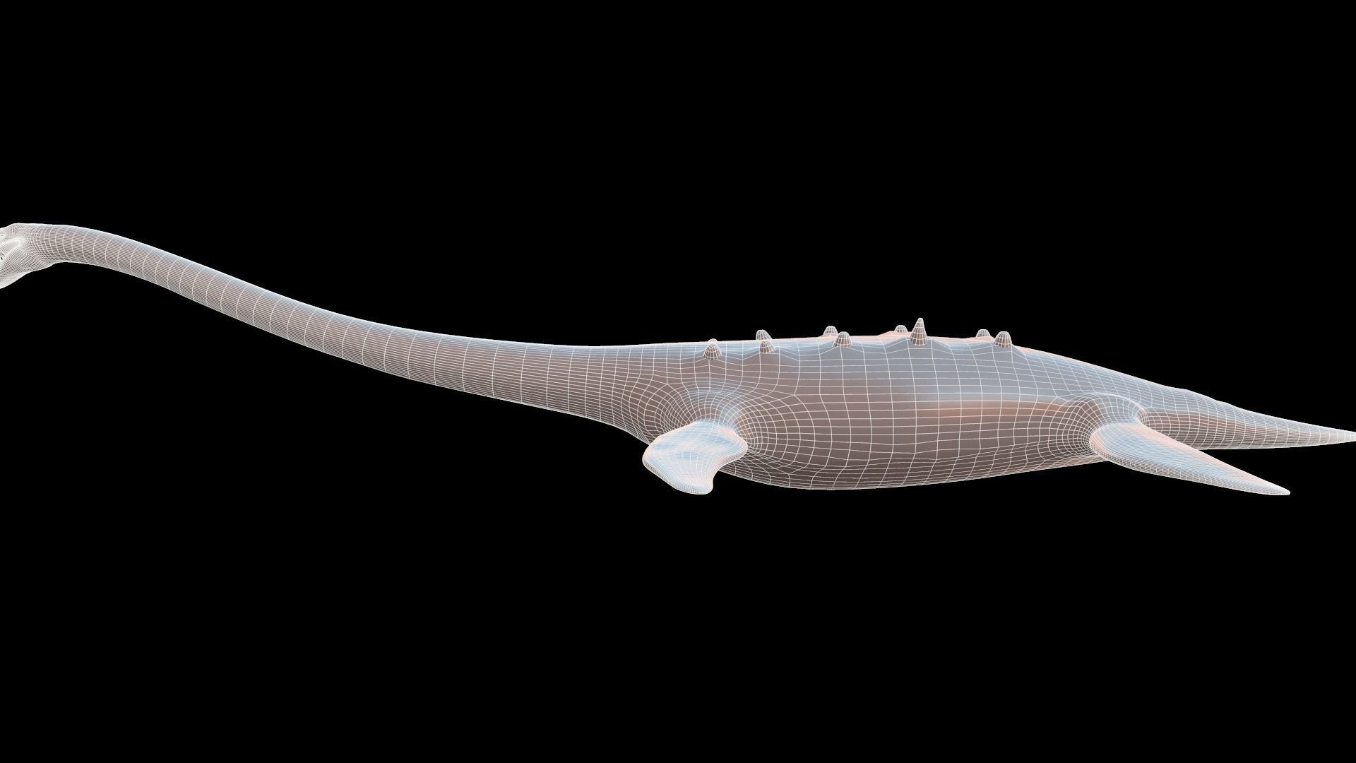 Elasmosaurus platyurus 3D model_3