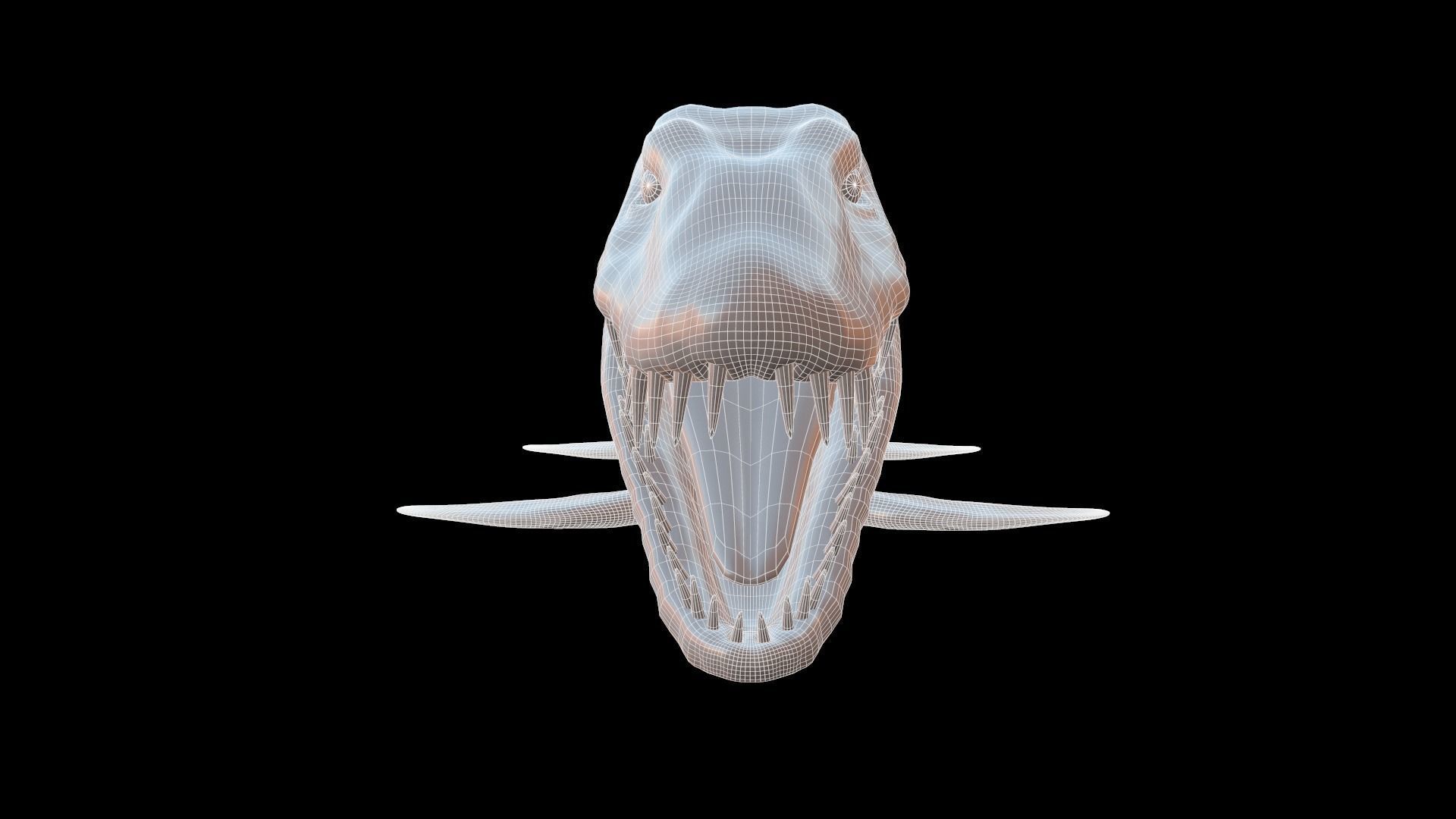 Elasmosaurus platyurus 3D model_4