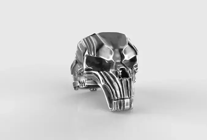 Ring Skull 3D print model R-17