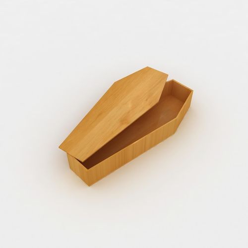 Coffin wooden 3D model