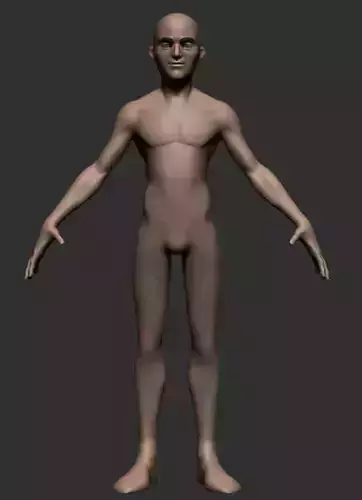 Base Cartoon Male Female 3D model