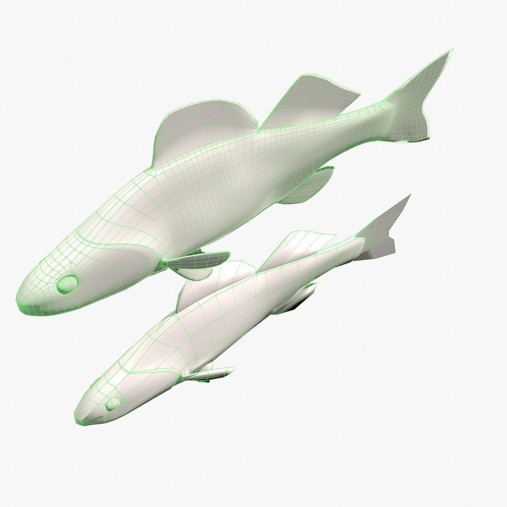 Fish Bersh Low-poly 3D model_5