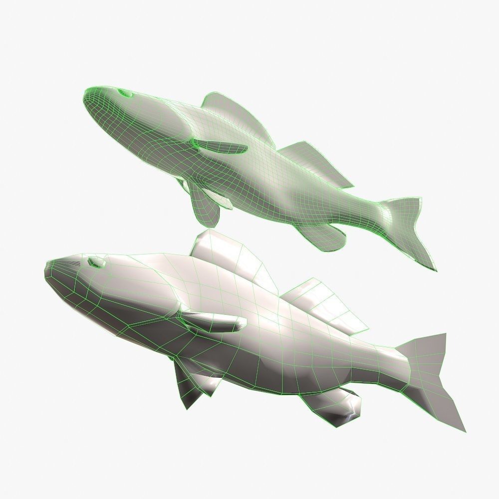 Fish Bersh Low-poly 3D model_6