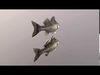 Fish Bersh Low-poly 3D model_1