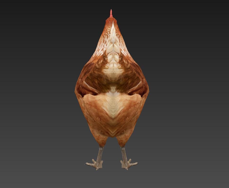 Hen  chicken Low-poly 3D model_5