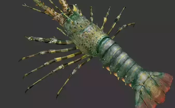 lobster    Australian lobster Low-poly 3D model