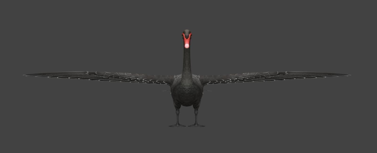  Swan  birds Low-poly 3D model_2