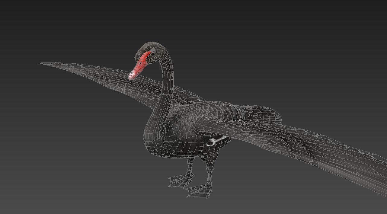  Swan  birds Low-poly 3D model_6