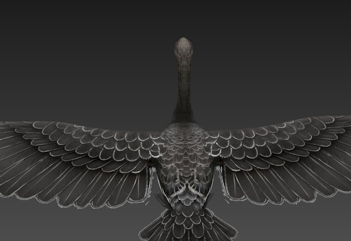  Swan  birds Low-poly 3D model_5