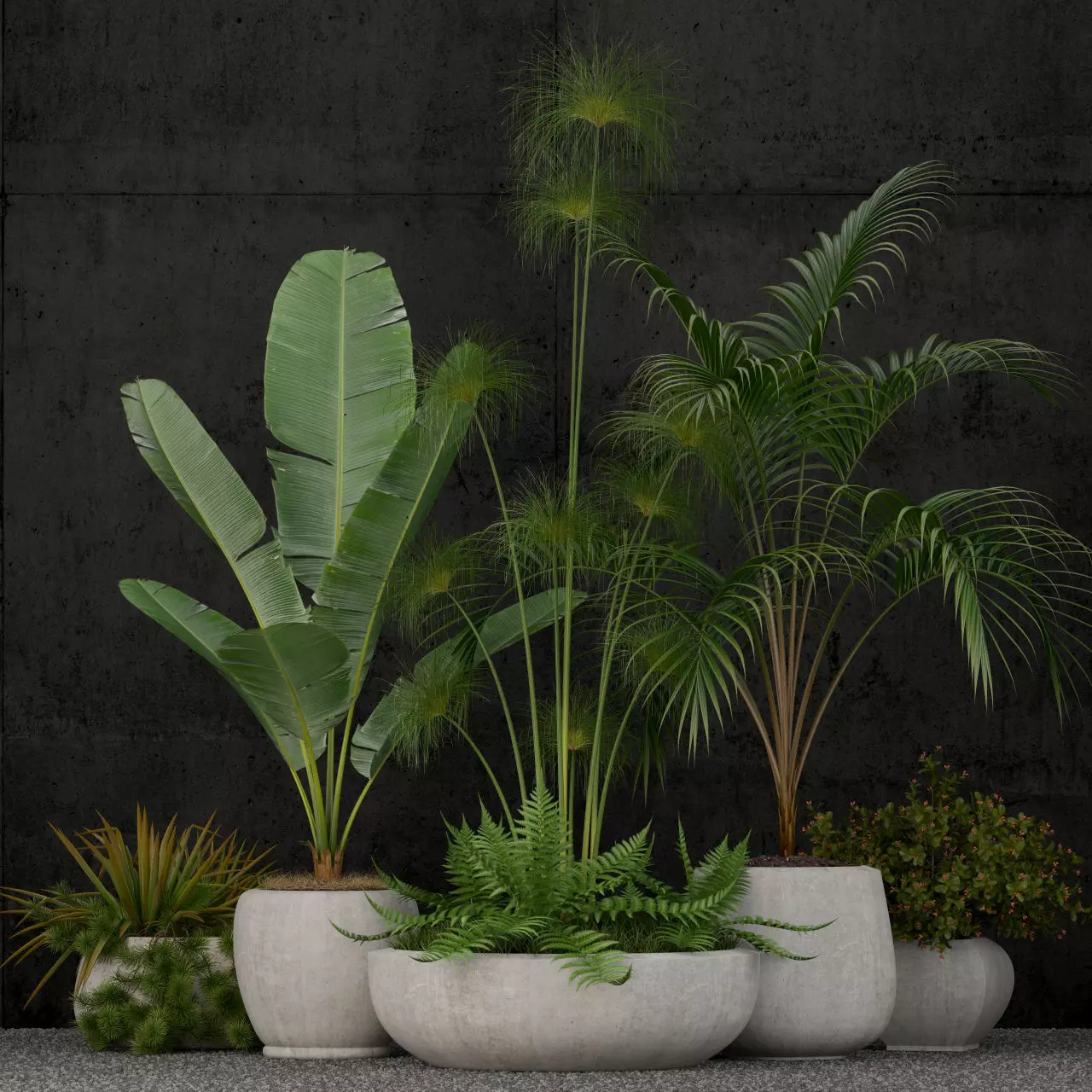 Plants collection 80 3D model_0