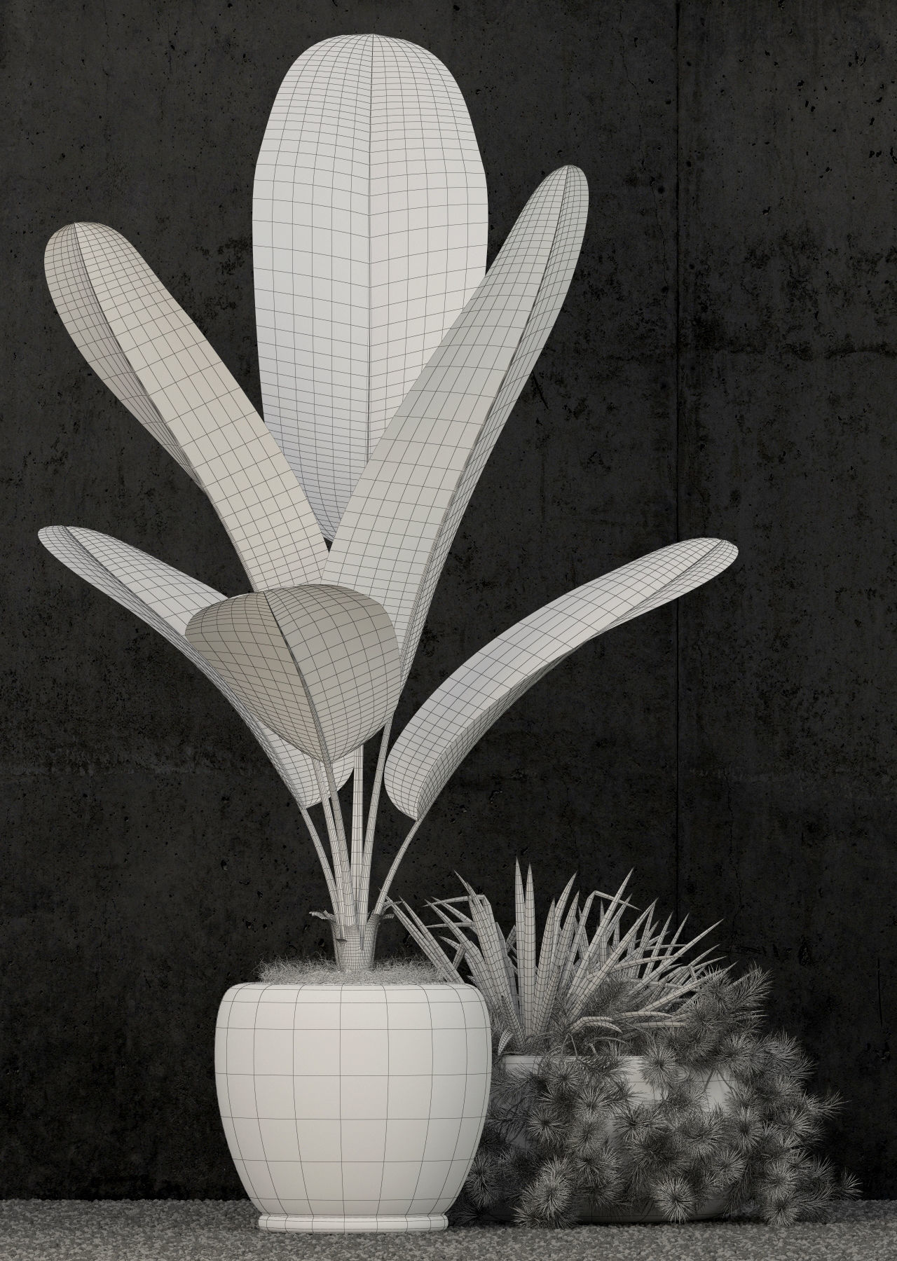 Plants collection 80 3D model_6