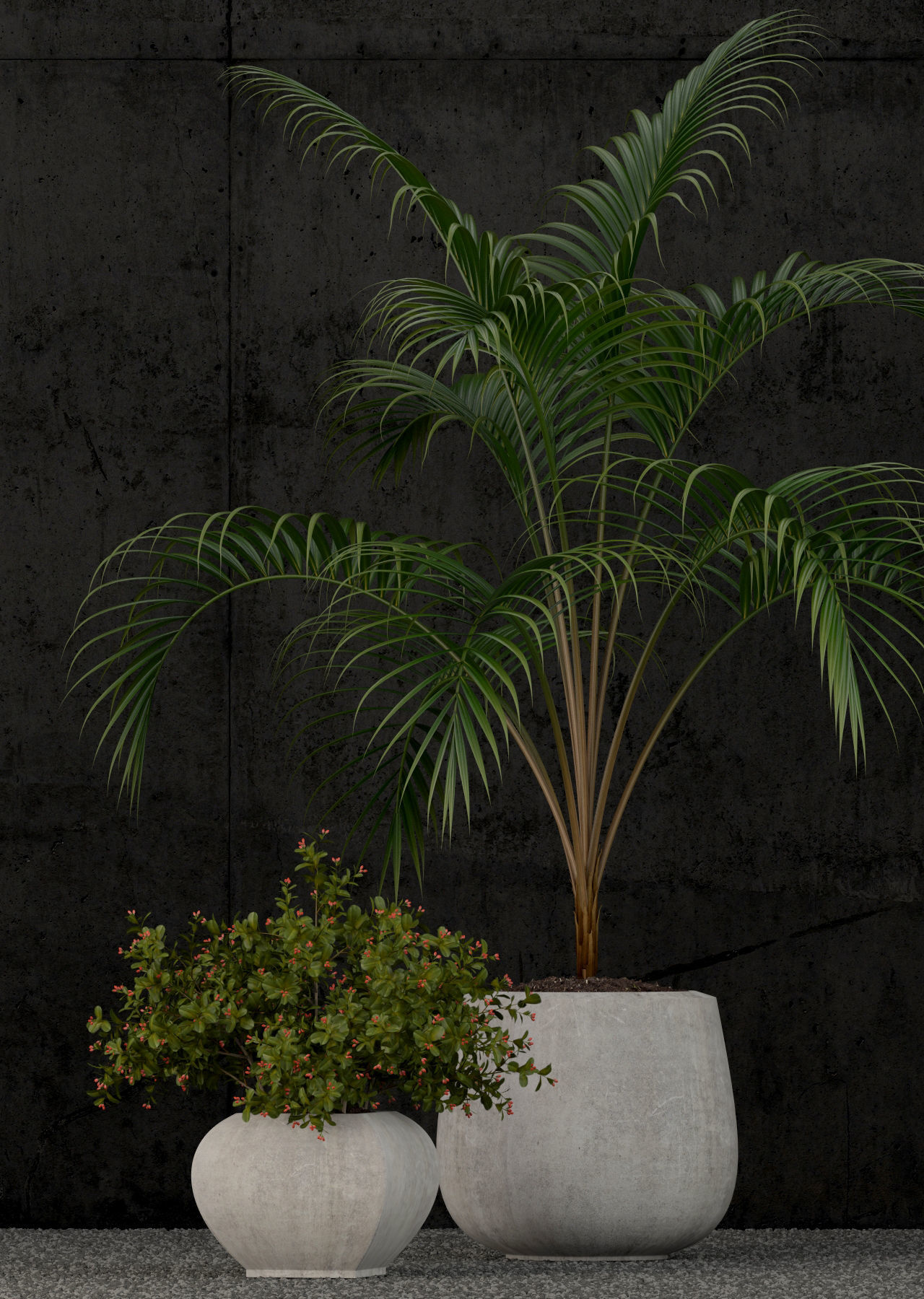 Plants collection 80 3D model_2