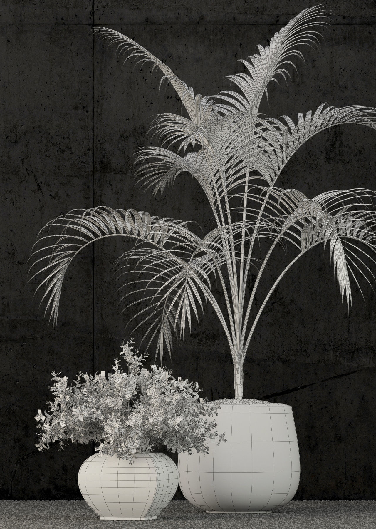 Plants collection 80 3D model_5