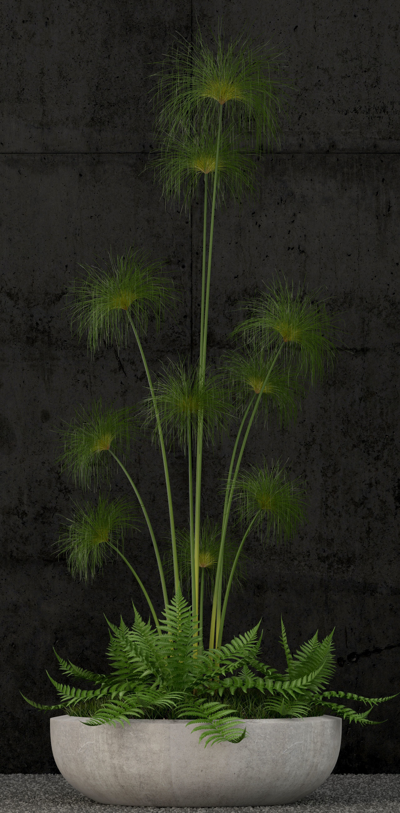 Plants collection 80 3D model_1