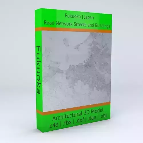 Fukuoka Buildings and Road Networks