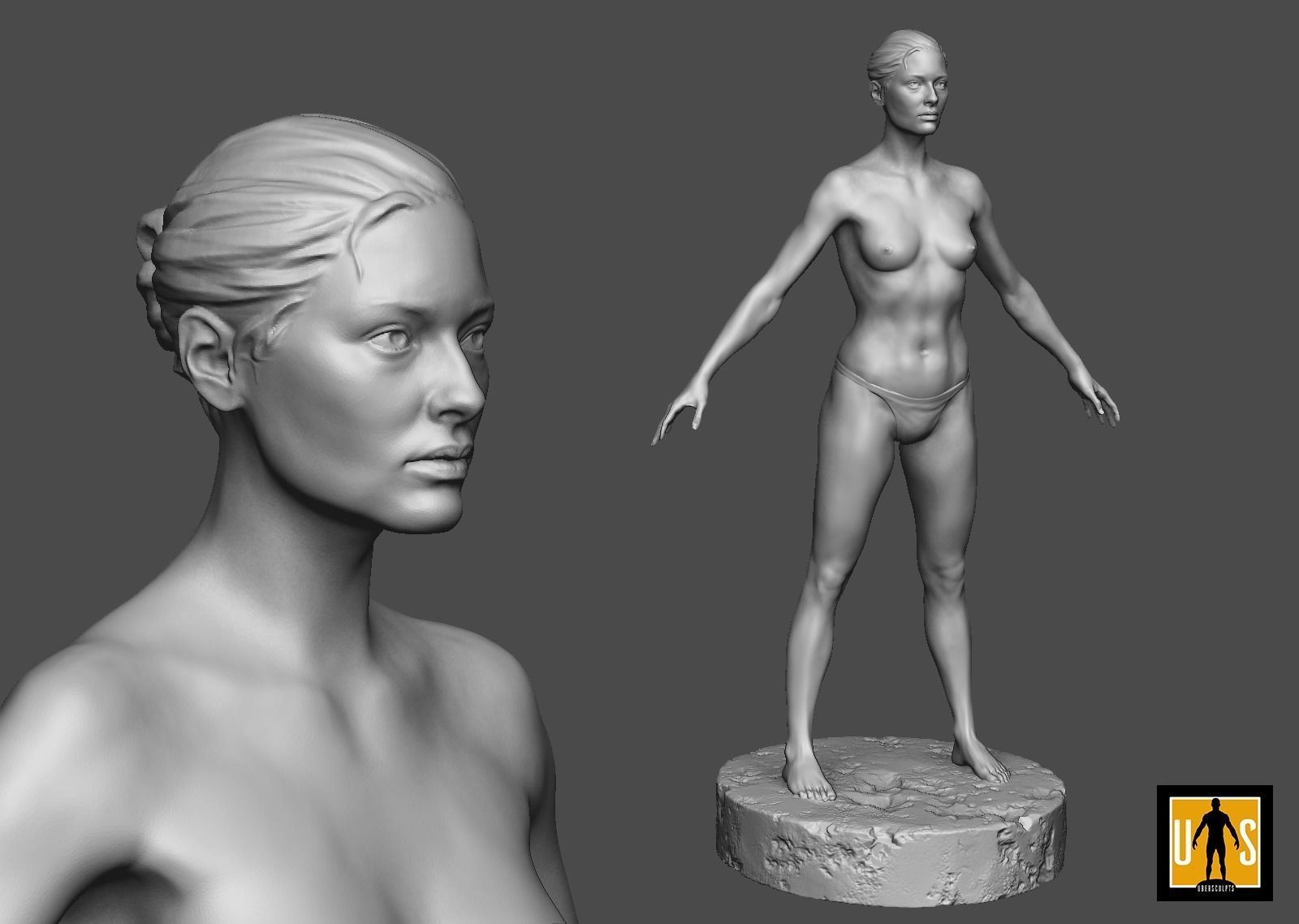 female anatomy study  3D print model_1