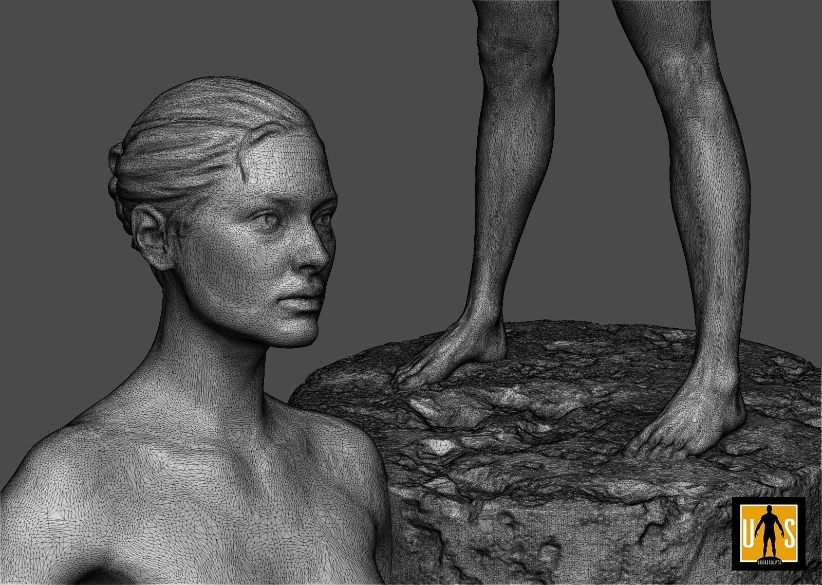 female anatomy study  3D print model_9