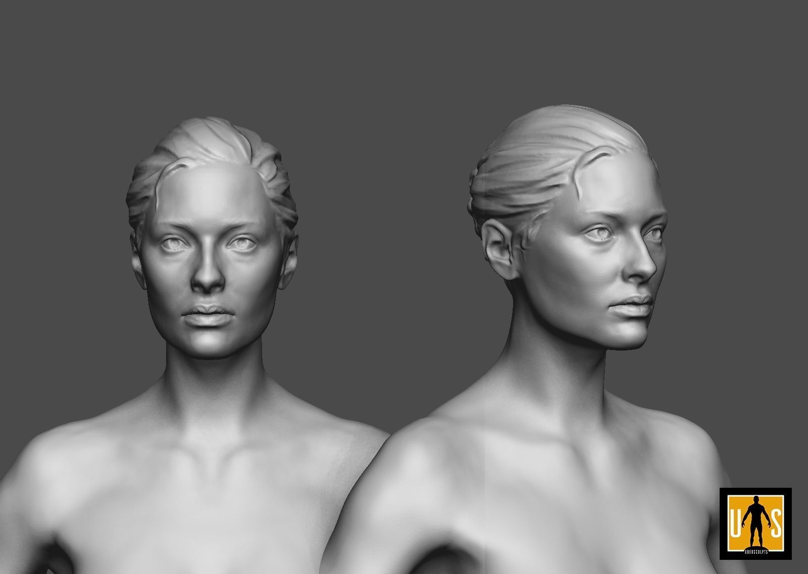 female anatomy study  3D print model_5
