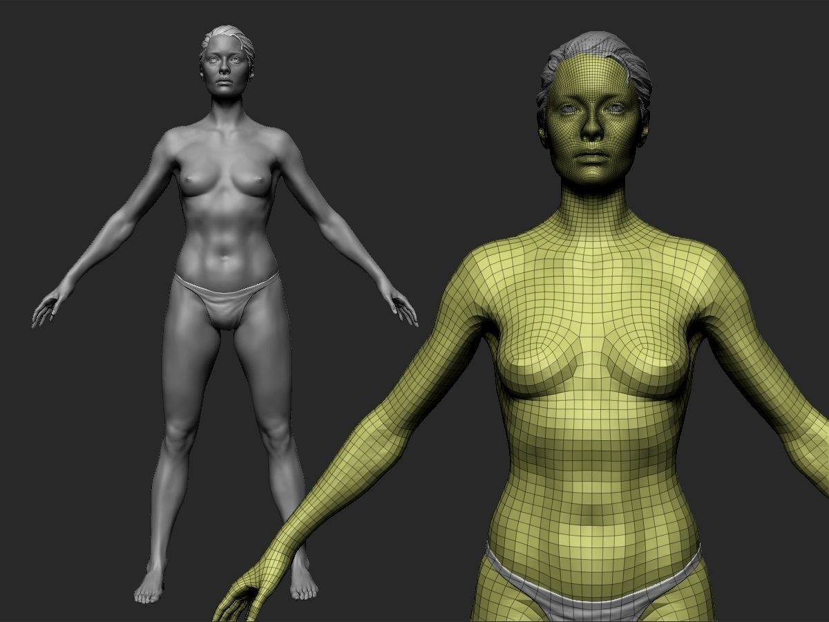 female anatomy study  3D print model_8