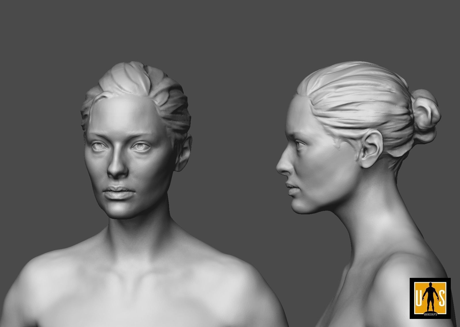 female anatomy study  3D print model_3