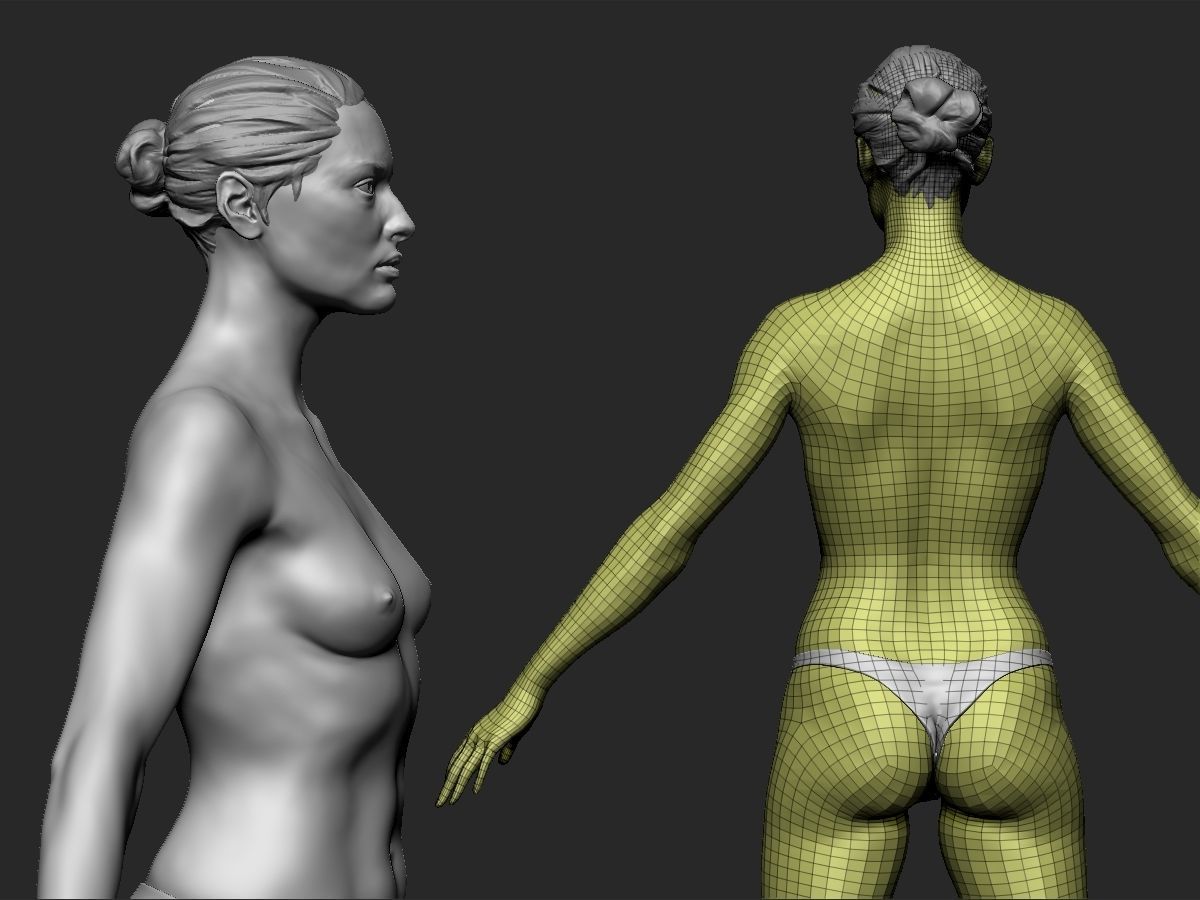 female anatomy study  3D print model_7