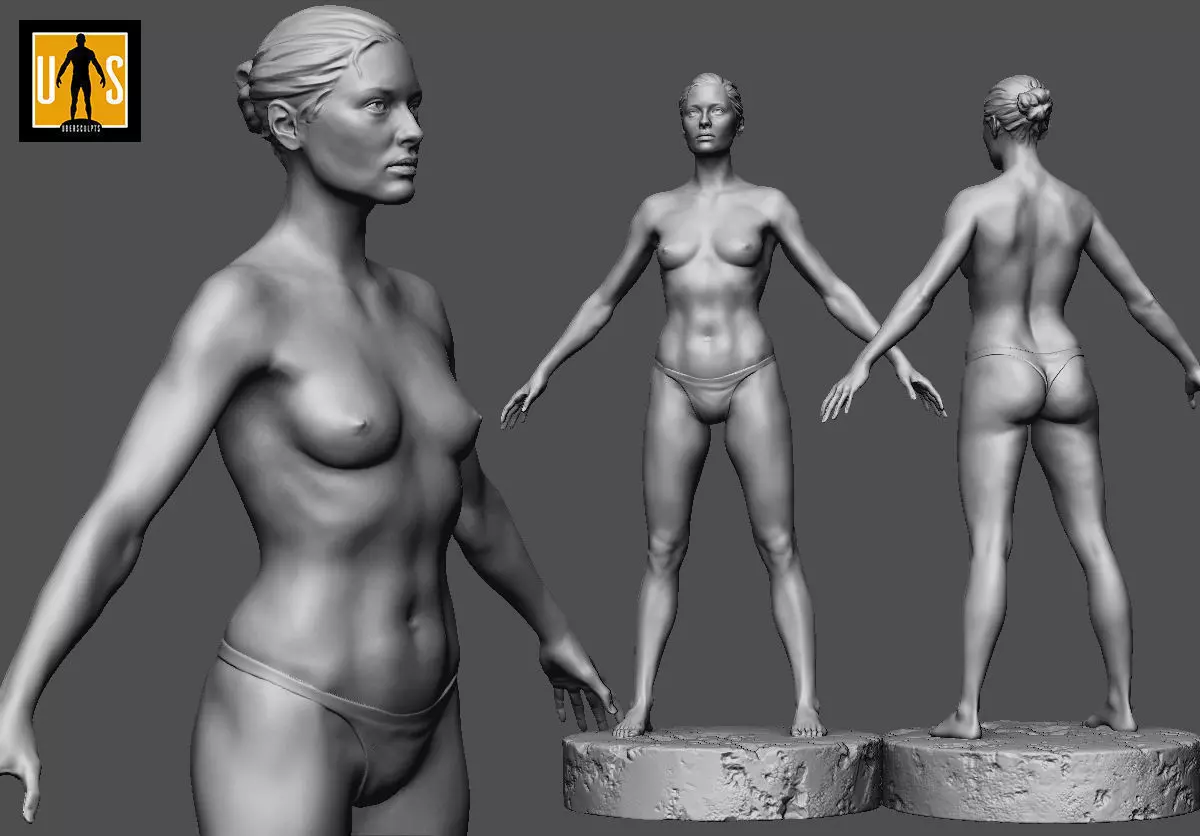 female anatomy study  3D print model_0